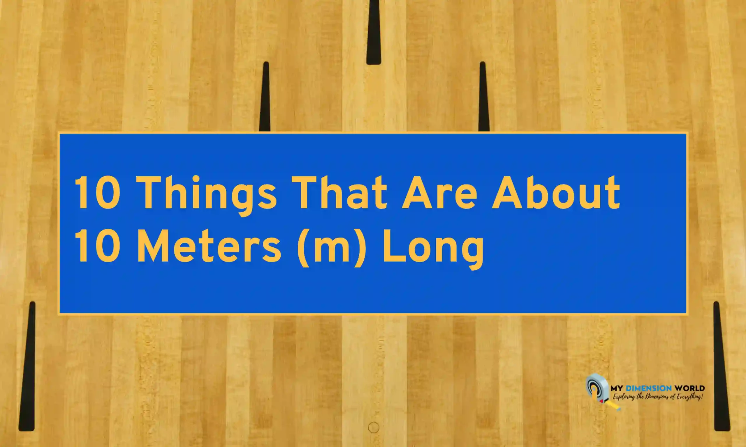10 Things That Are About 10 Meters (m) Long