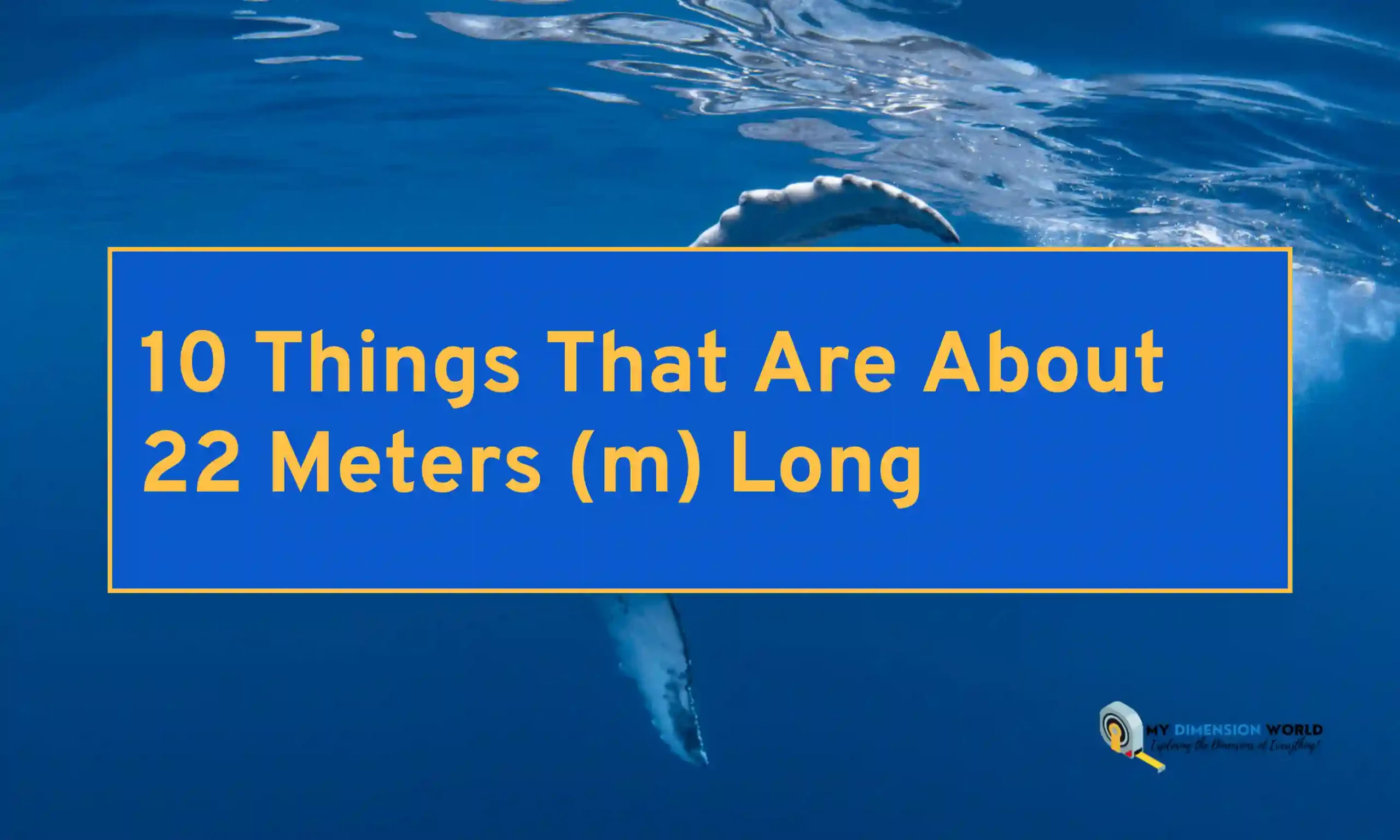 10 Things That Are About 22 Meters (m) Long