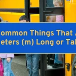 11 Common Things That Are 4 Meters (m) Long or Tall