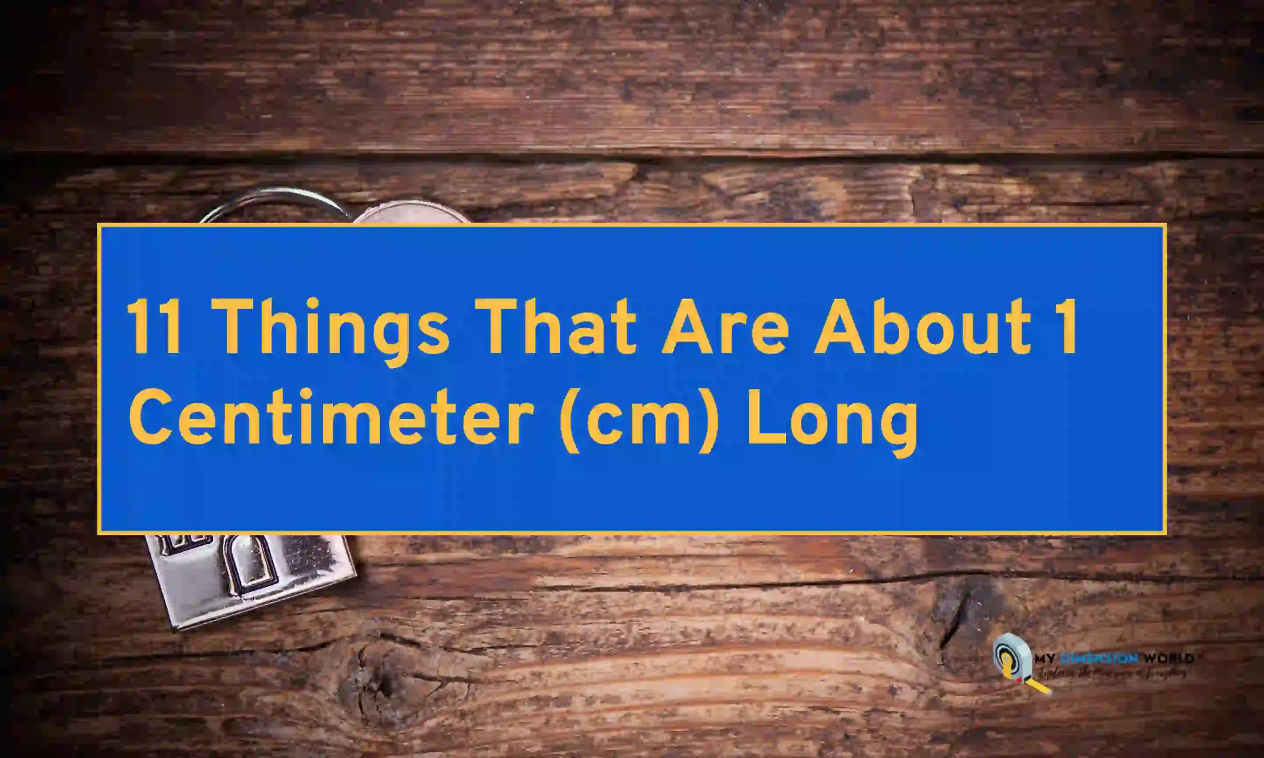 11 Things That Are About 1 Centimeter (cm) Long