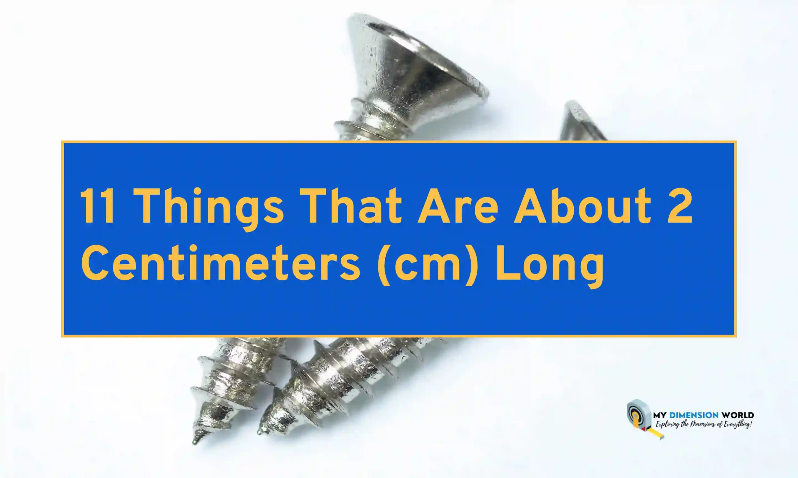 11 Things That Are About 2 Centimeters (cm) Long