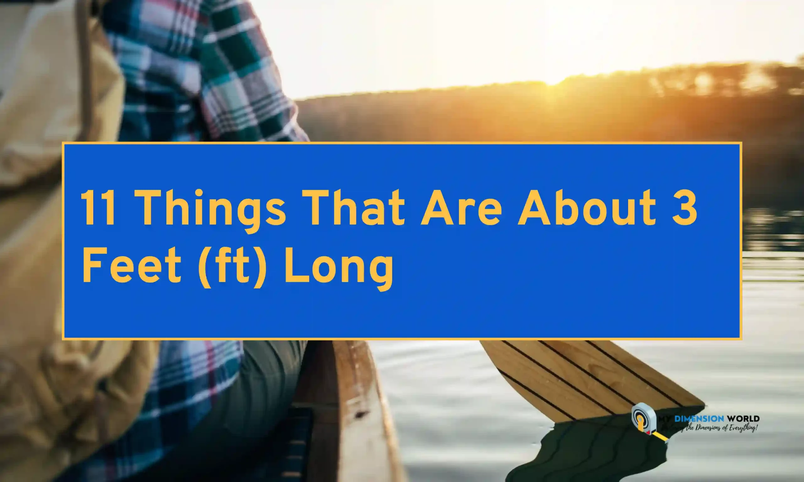 11 Things That Are About 3 Feet (ft) Long