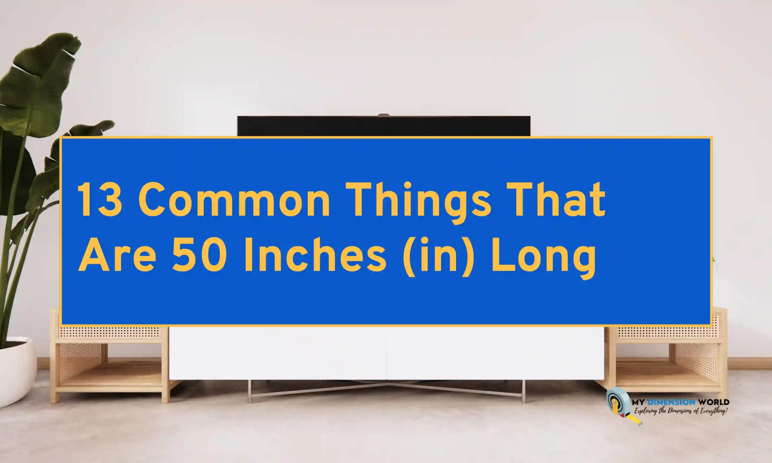 13 Common Things That Are 50 Inches (in) Long