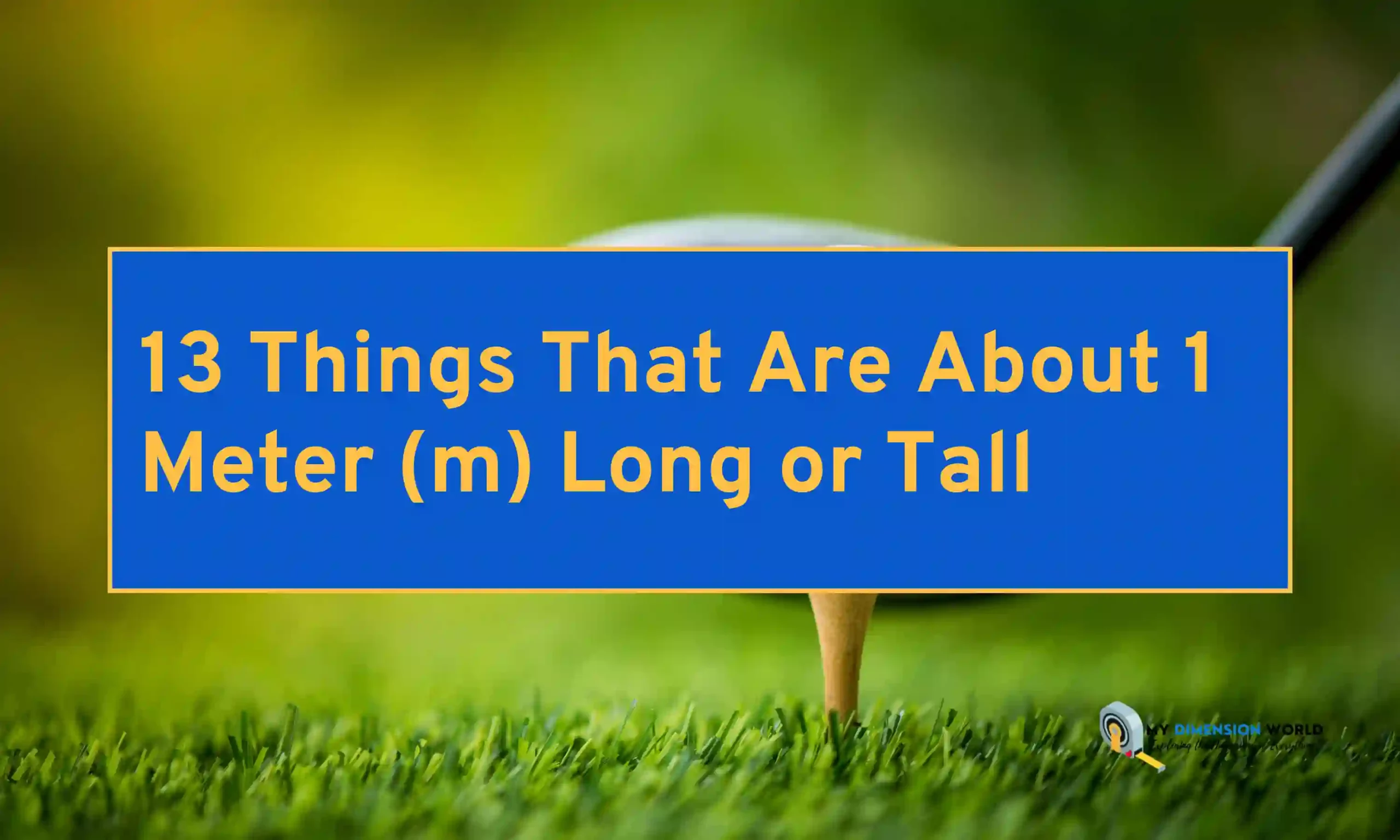 13 Things That Are About 1 Meter (m) Long or Tall