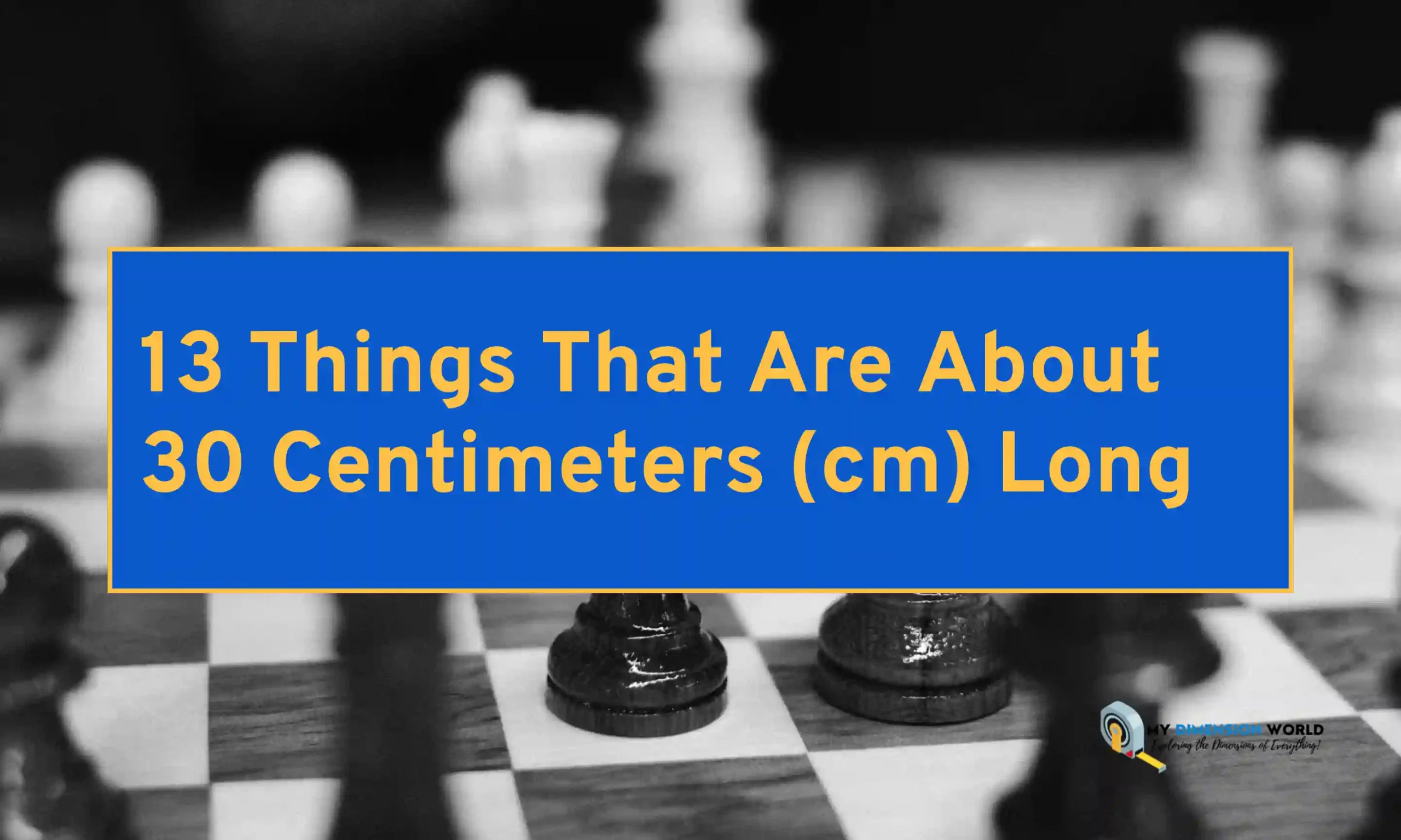13 Things That Are About 30 Centimeters (cm) Long