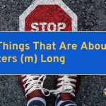 13 Things That Are About 5 Meters (m) Long