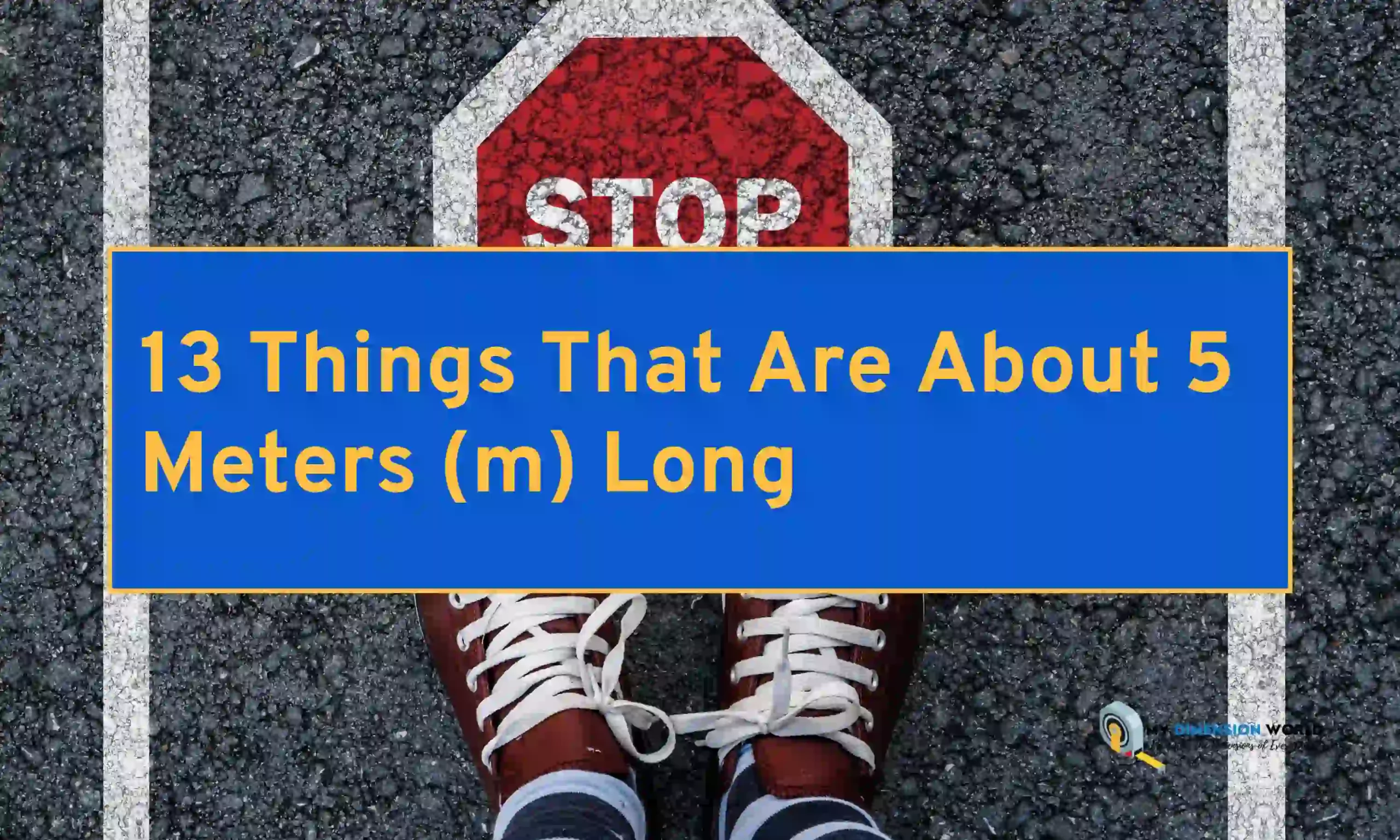 13 Things That Are About 5 Meters (m) Long