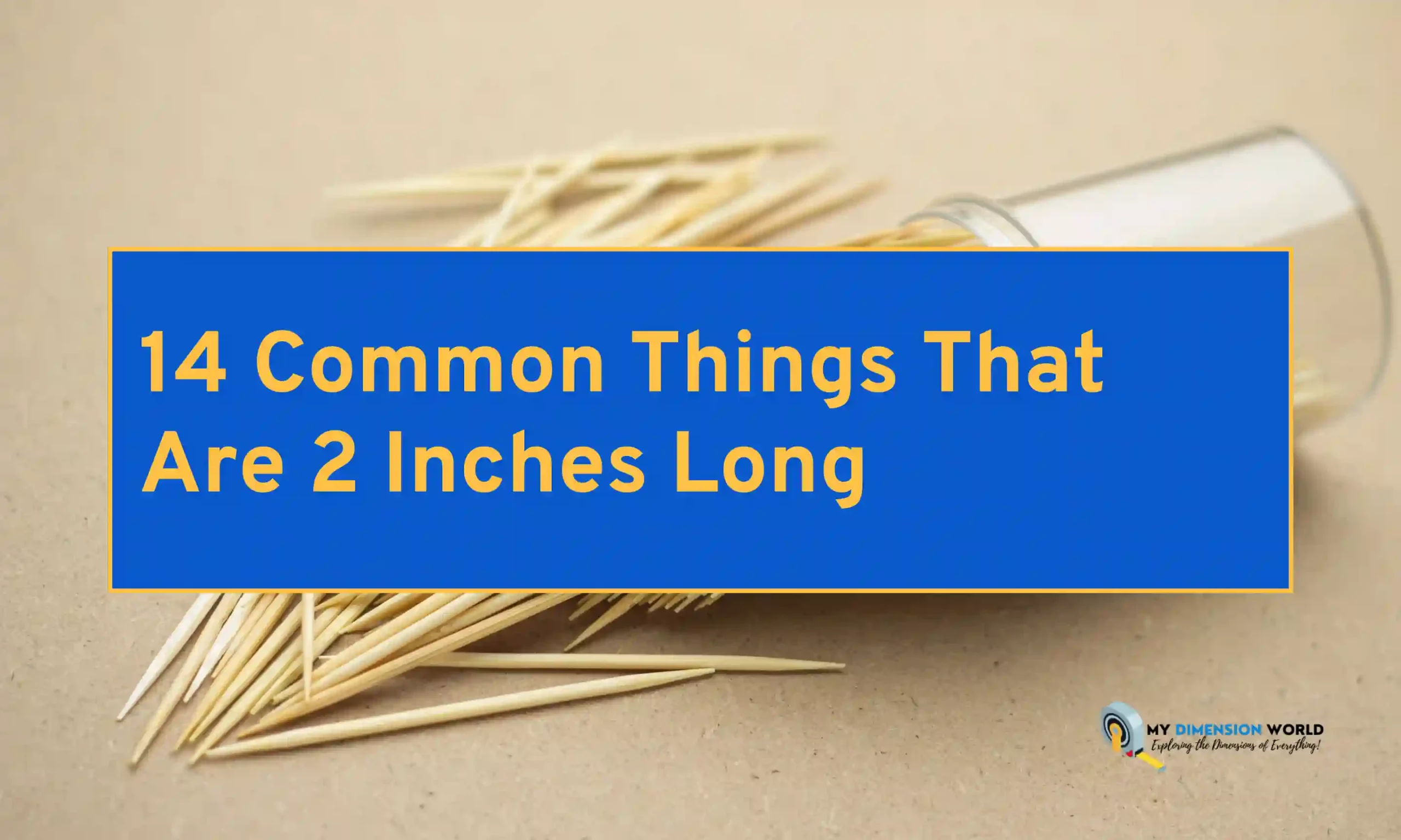 14 Common Things That Are 2 Inches Long