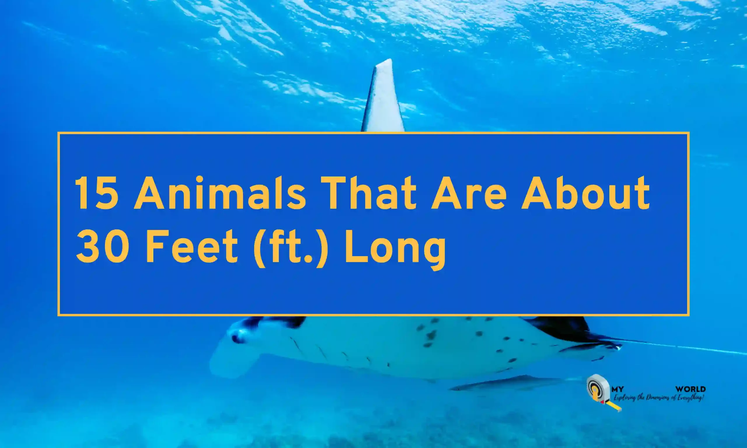 15 Animals That Are About 30 Feet (ft.) Long