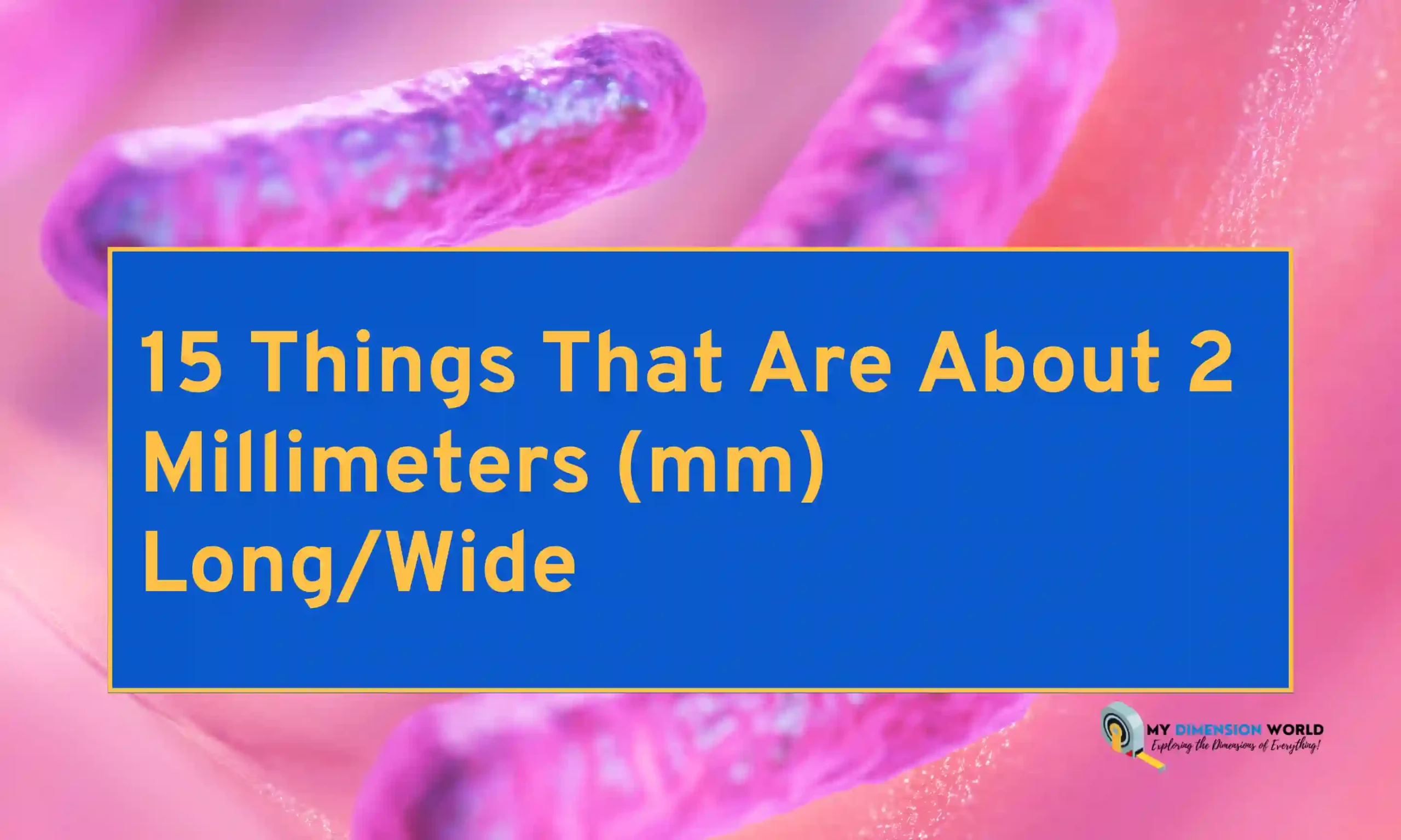 15 Things That Are About 2 Millimeters (mm) LongWide