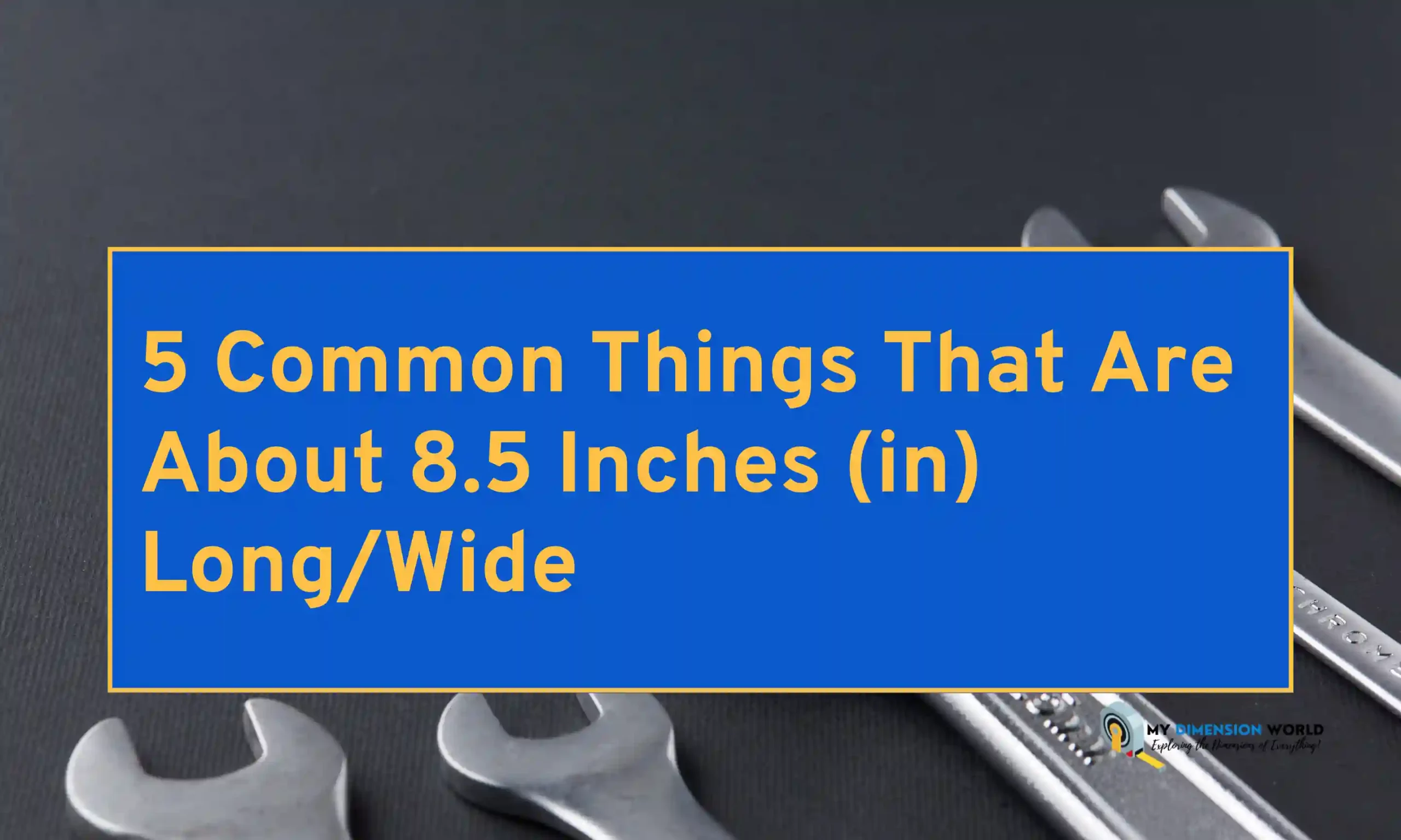 5 Common Things That Are About 8.5 Inches (in) LongWide