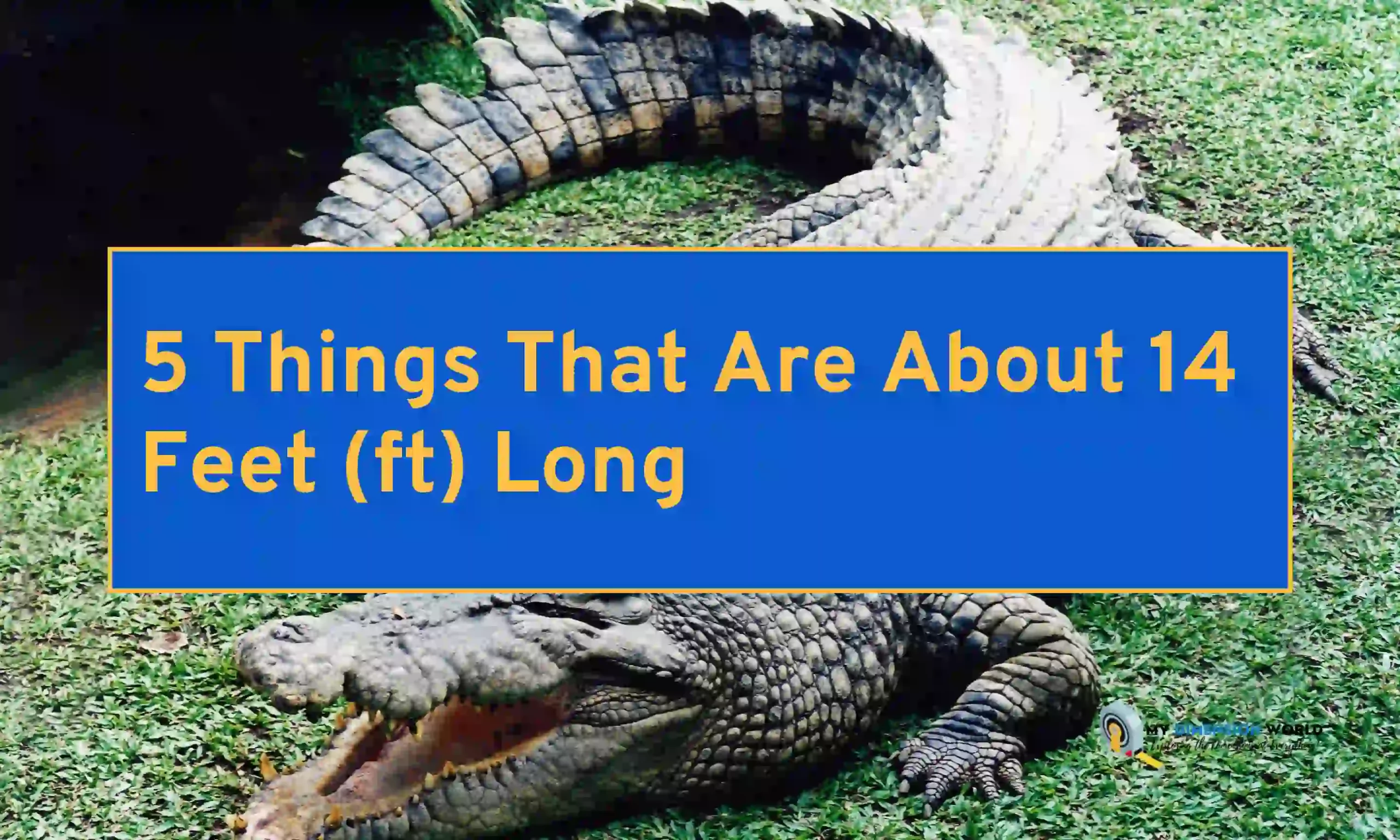 5 Things That Are About 14 Feet (ft) Long