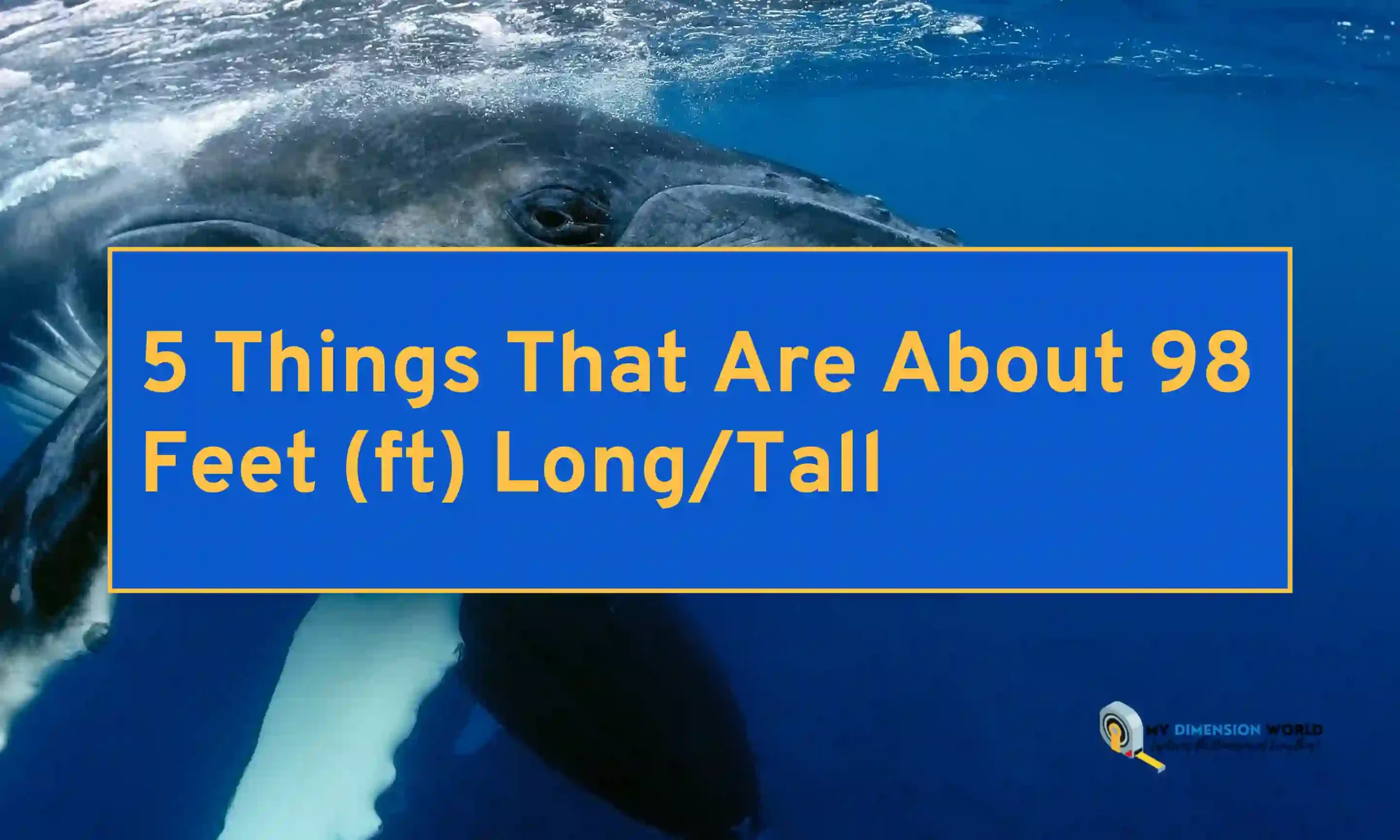 5 Things That Are About 98 Feet (ft) LongTall