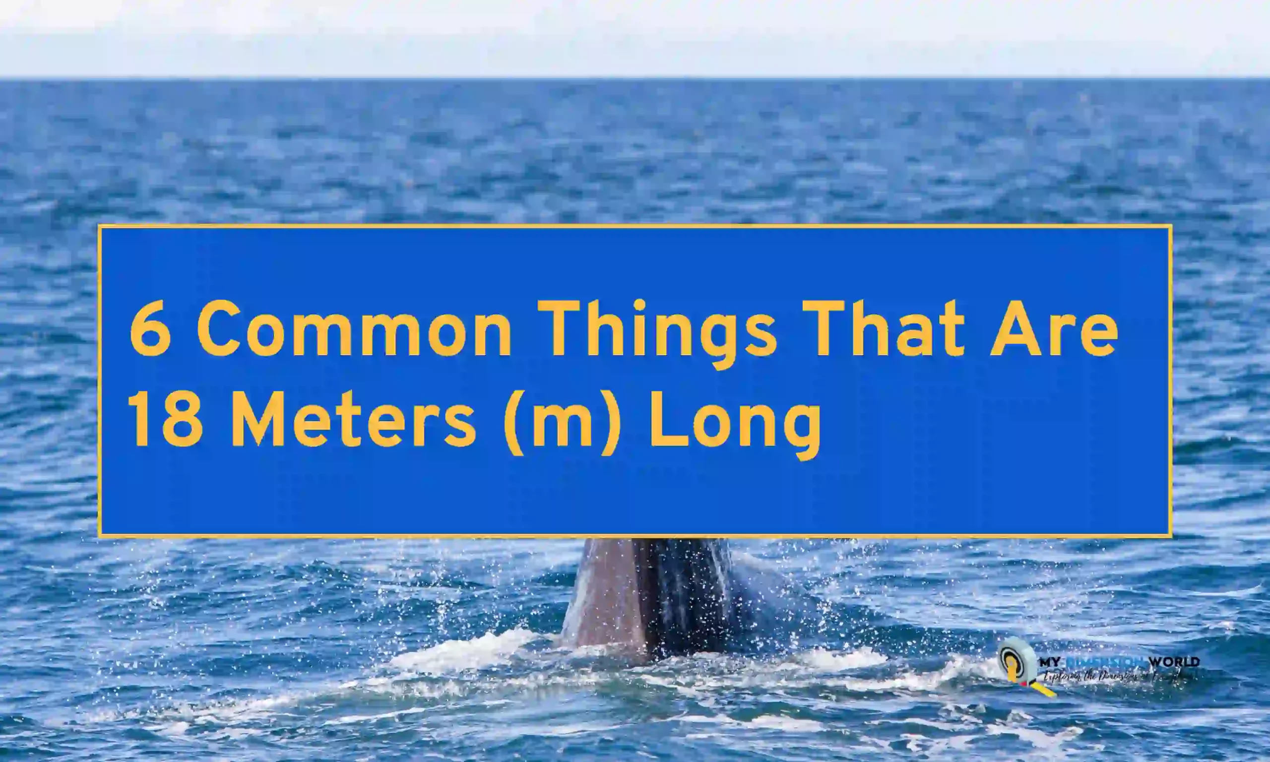 6 Common Things That Are 18 Meters (m) Long