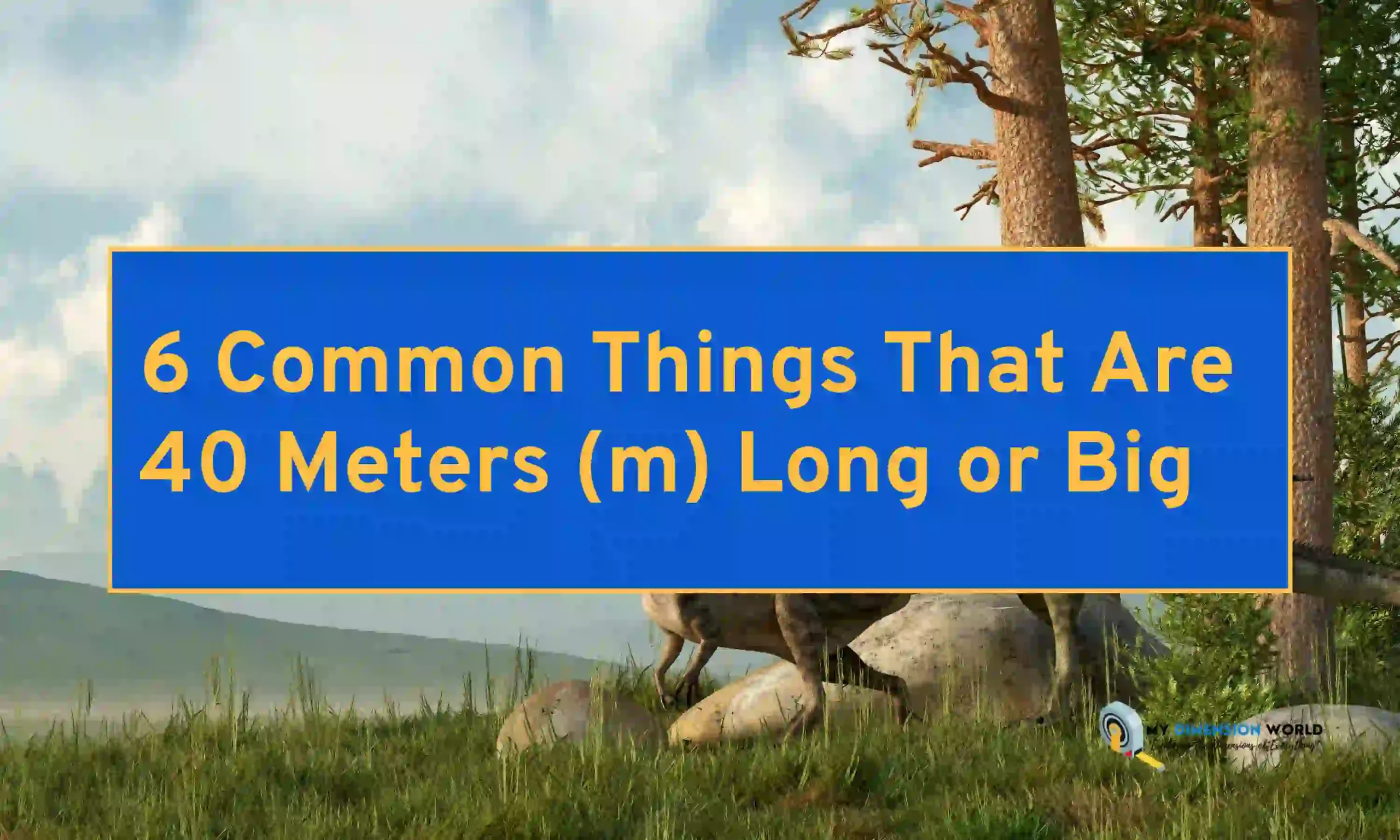 6 Common Things That Are 40 Meters (m) Long or Big
