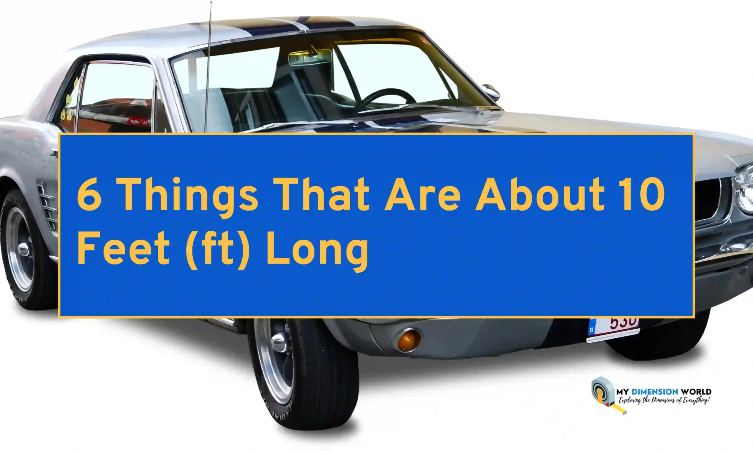 6 Things That Are About 10 Feet (ft) Long