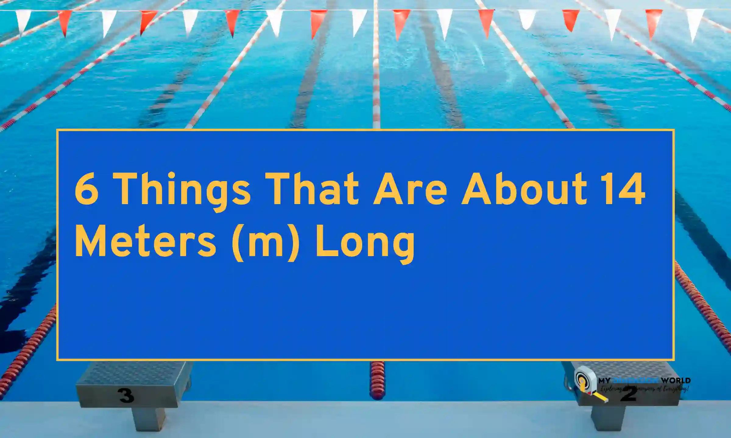 6 Things That Are About 14 Meters (m) Long
