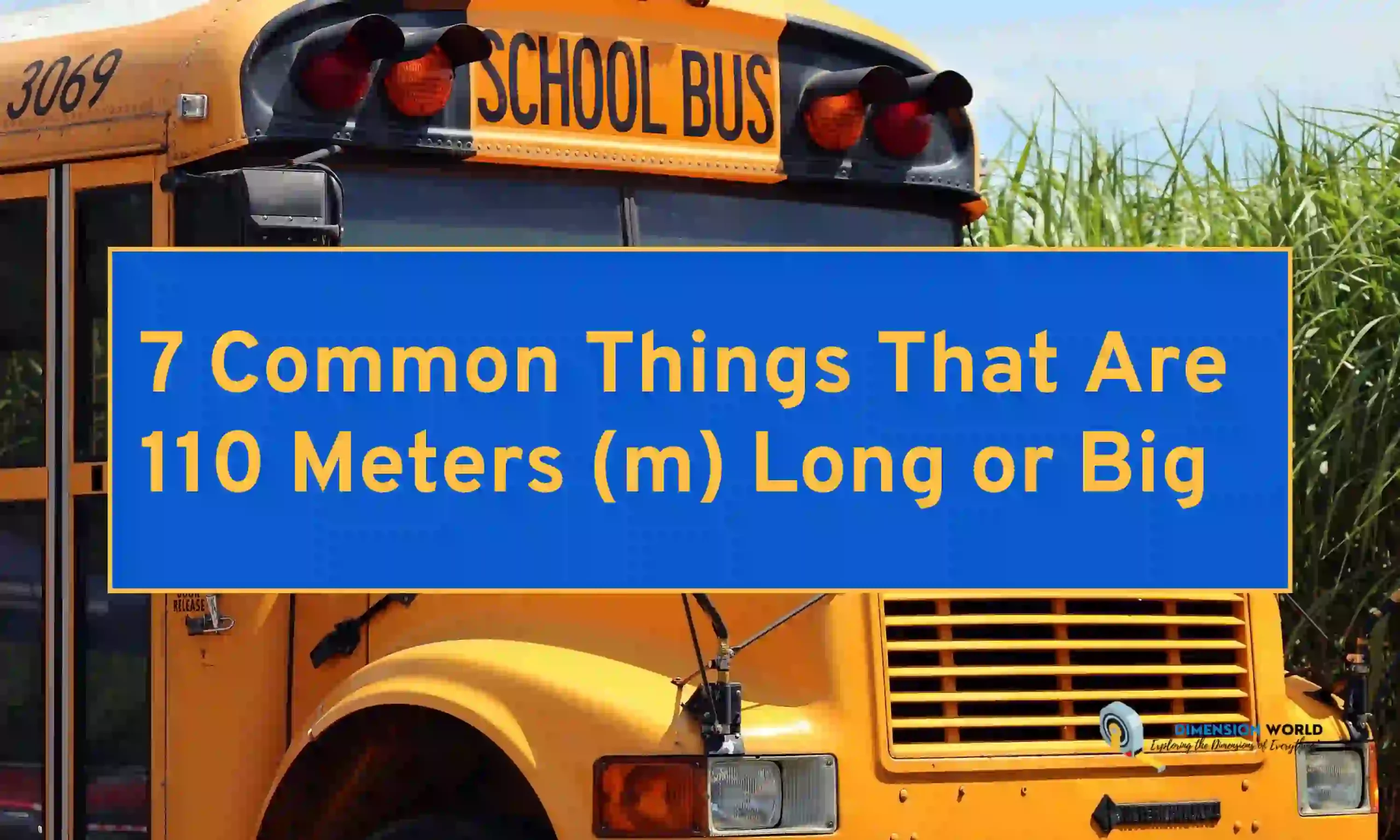 7 Common Things That Are 110 Meters (m) Long or Big