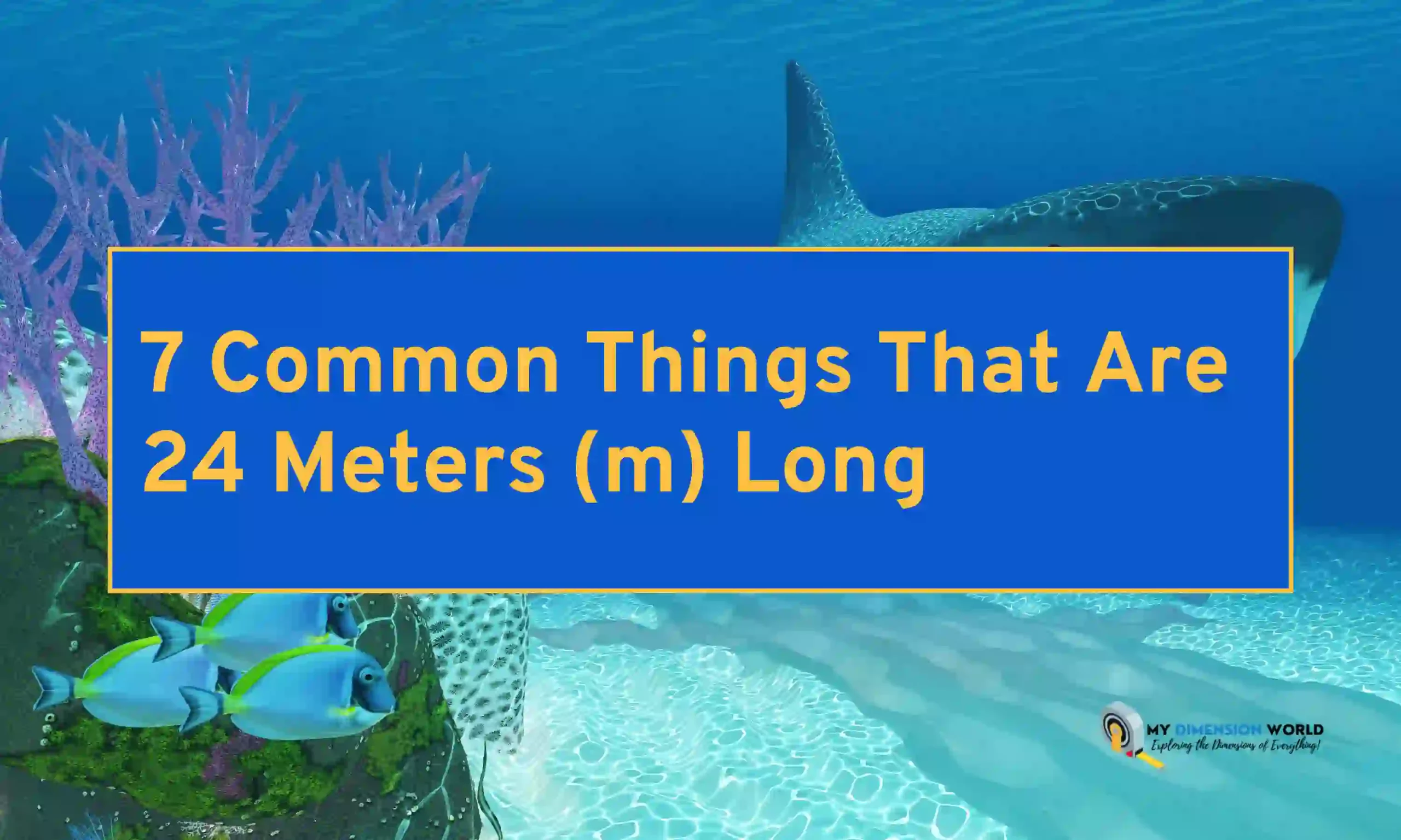 7 Common Things That Are 24 Meters (m) Long