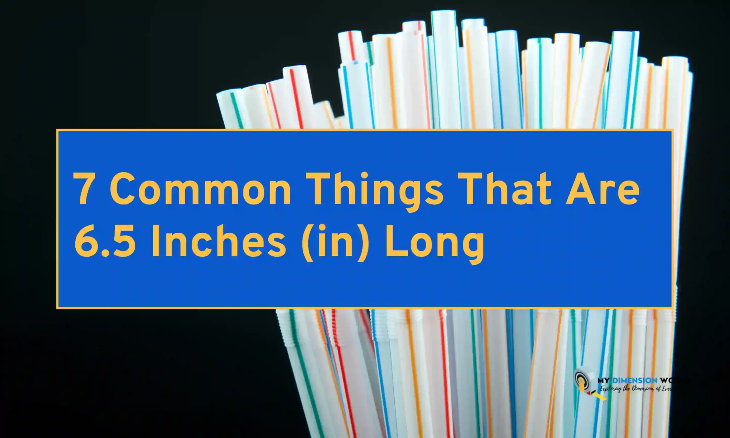 7 Common Things That Are 6.5 Inches (in) Long