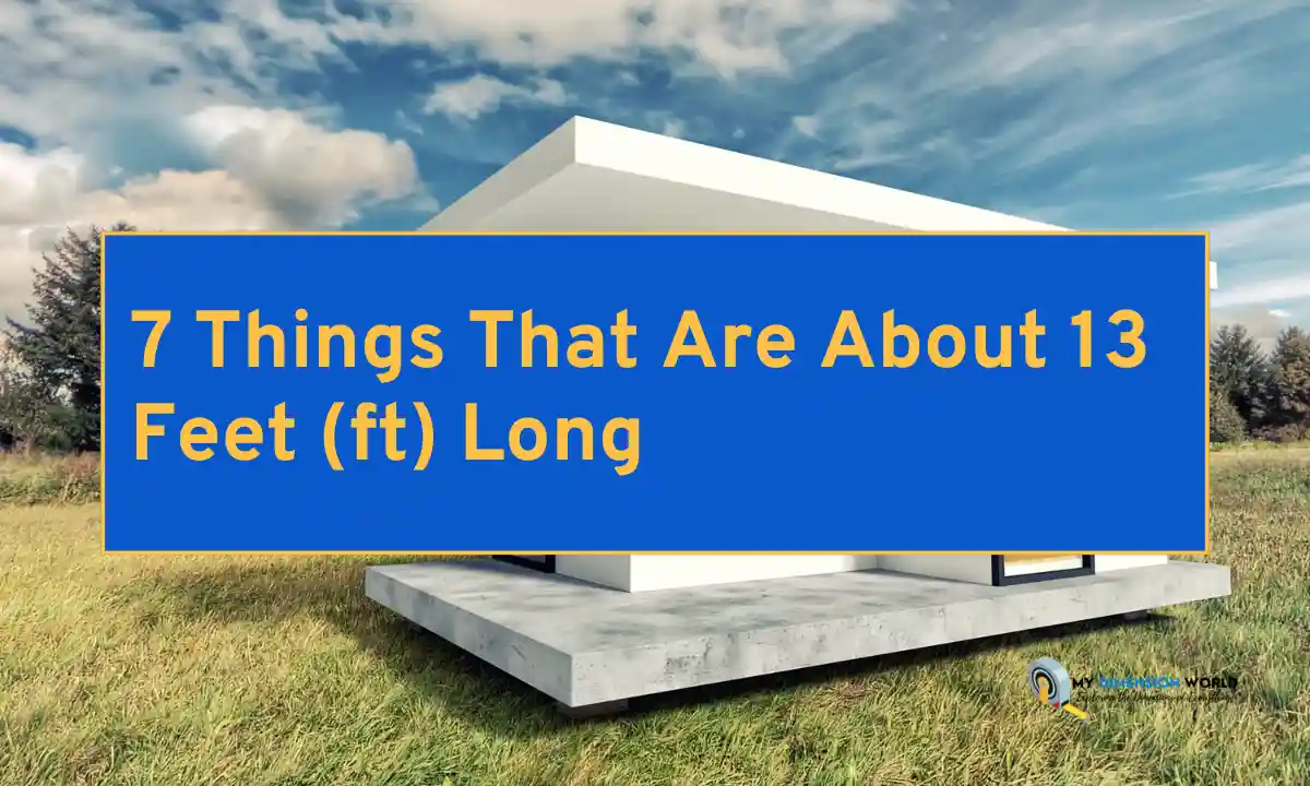 7 Things That Are About 13 Feet (ft) Long