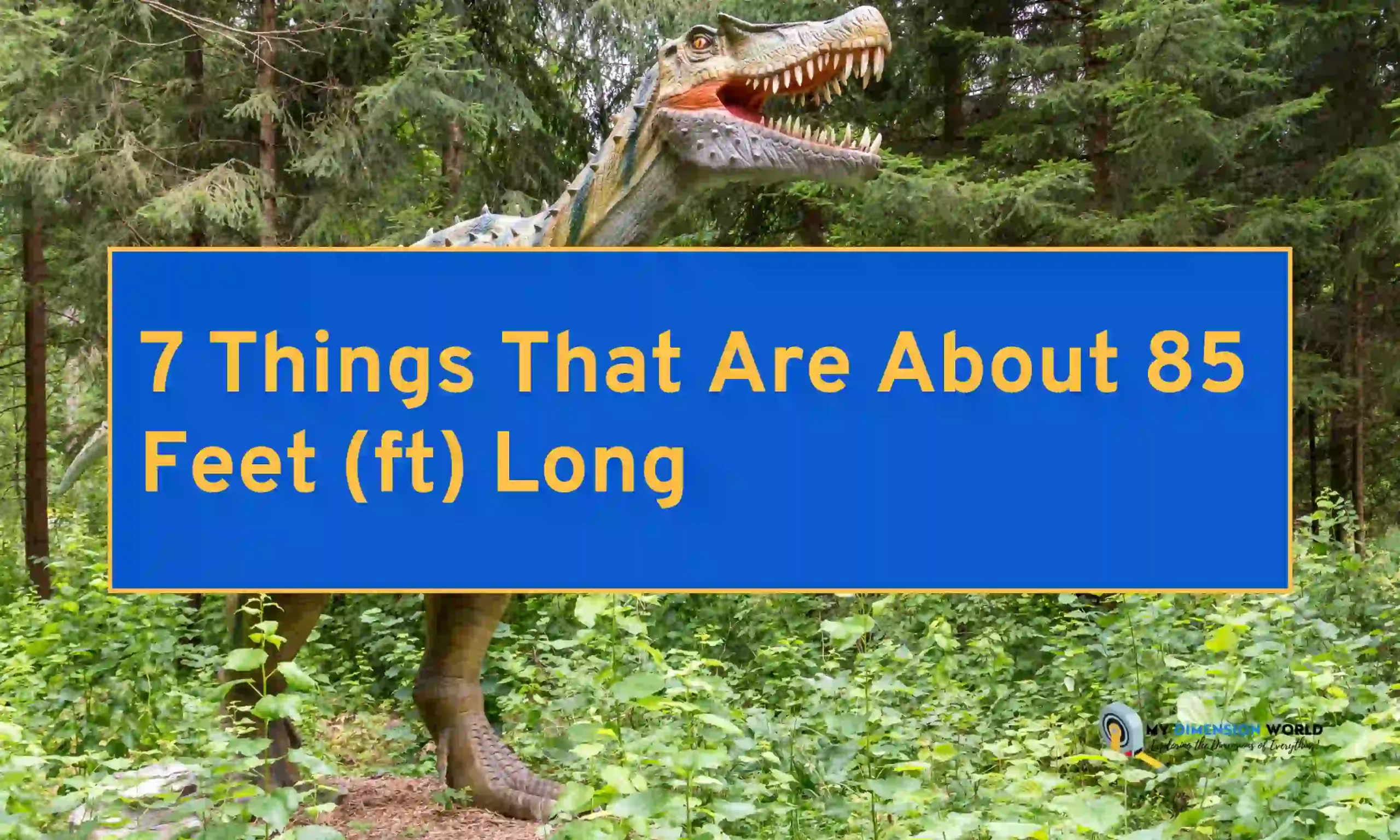 7 Things That Are About 85 Feet (ft) Long