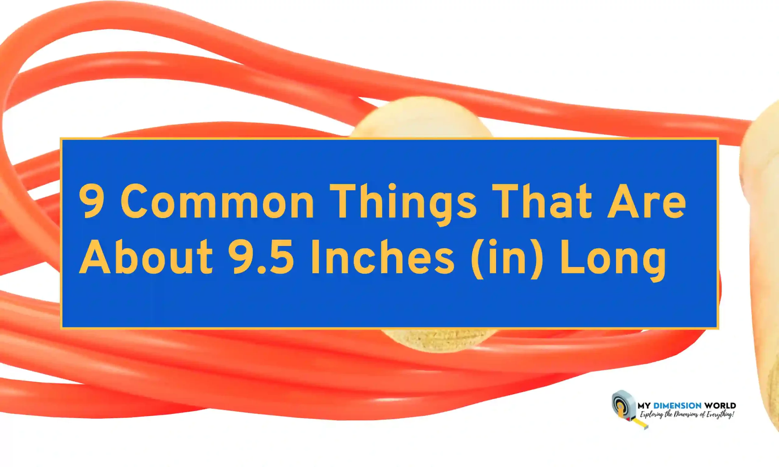 9 Common Things That Are About 9.5 Inches (in) Long