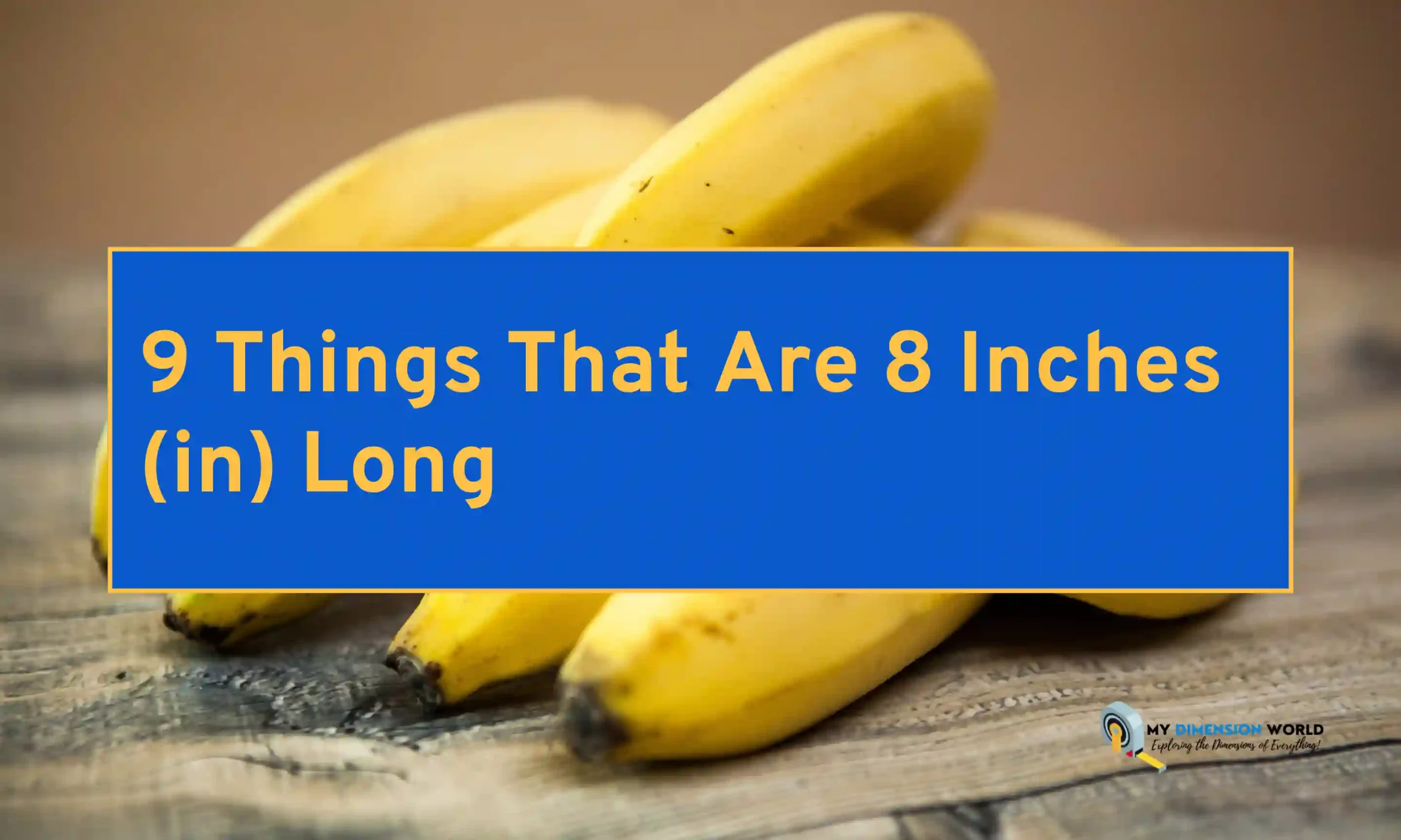 9 Things That Are 8 Inches (in) Long