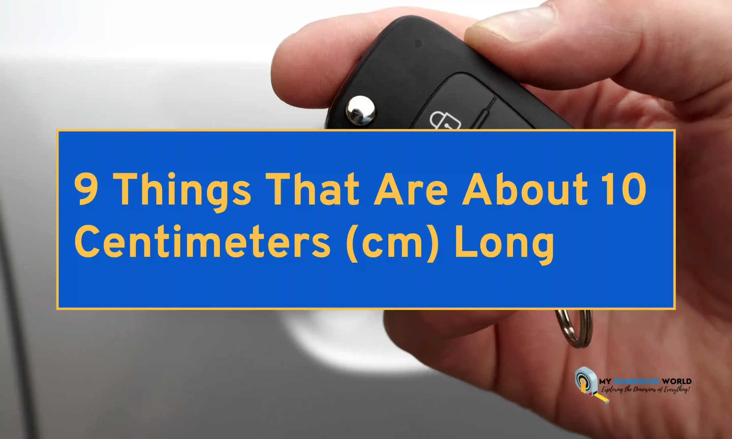 9 Things That Are About 10 Centimeters (cm) Long