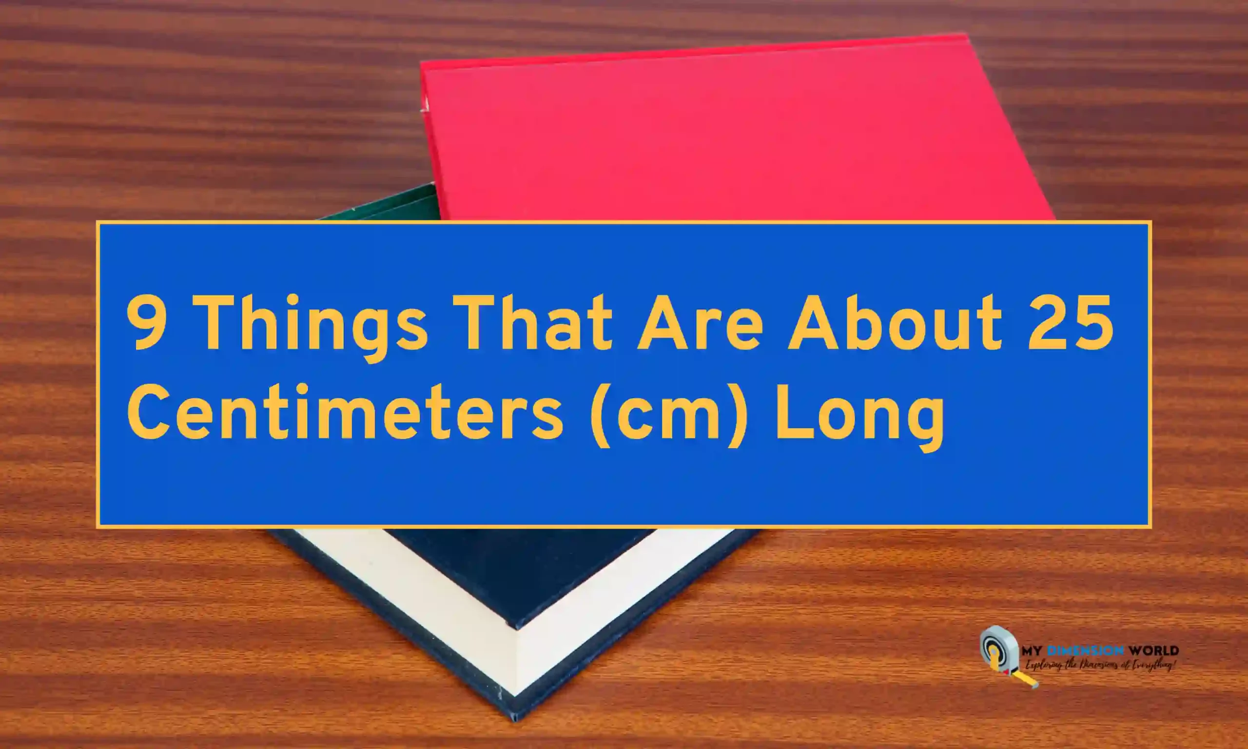 9 Things That Are About 25 Centimeters (cm) Long