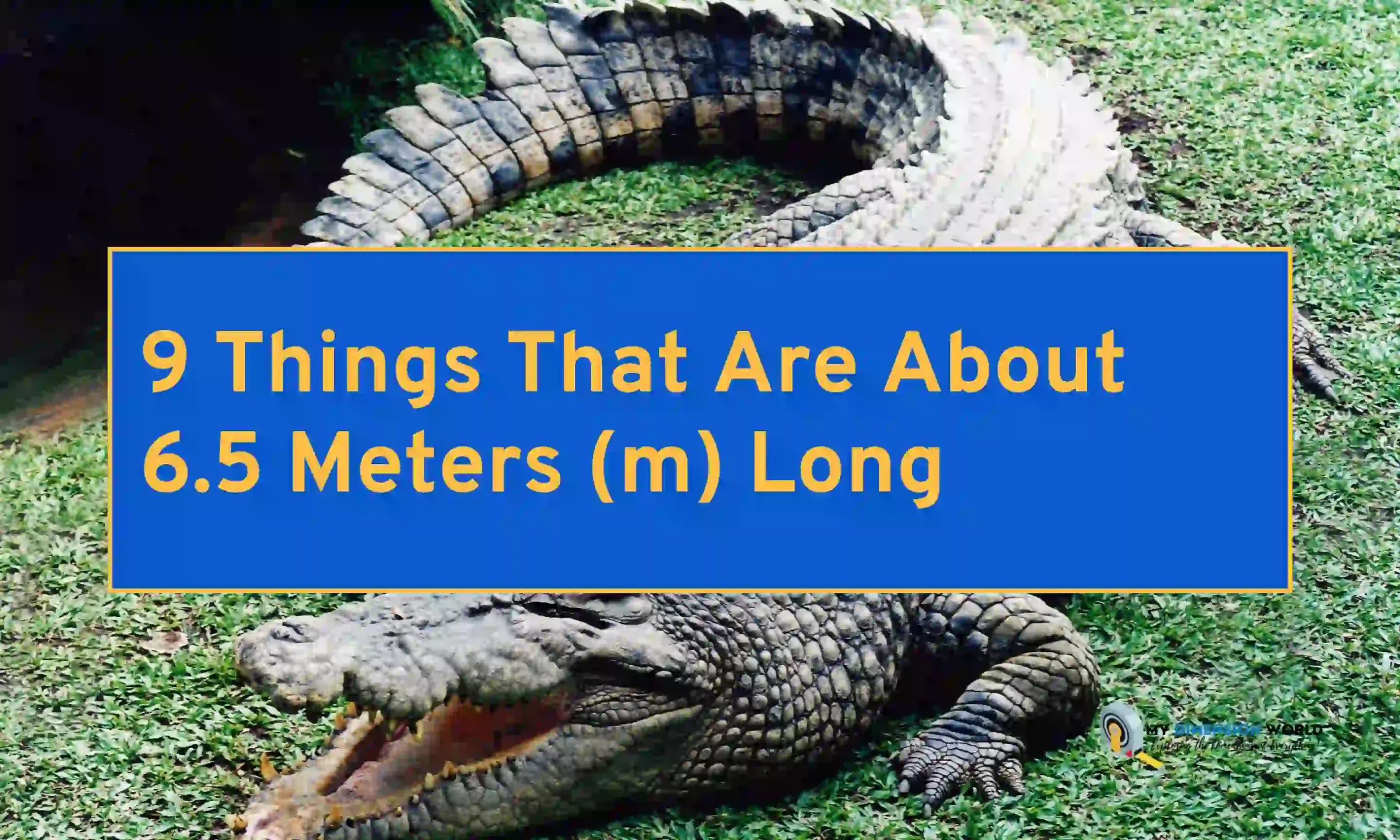 9 Things That Are About 6.5 Meters (m) Long