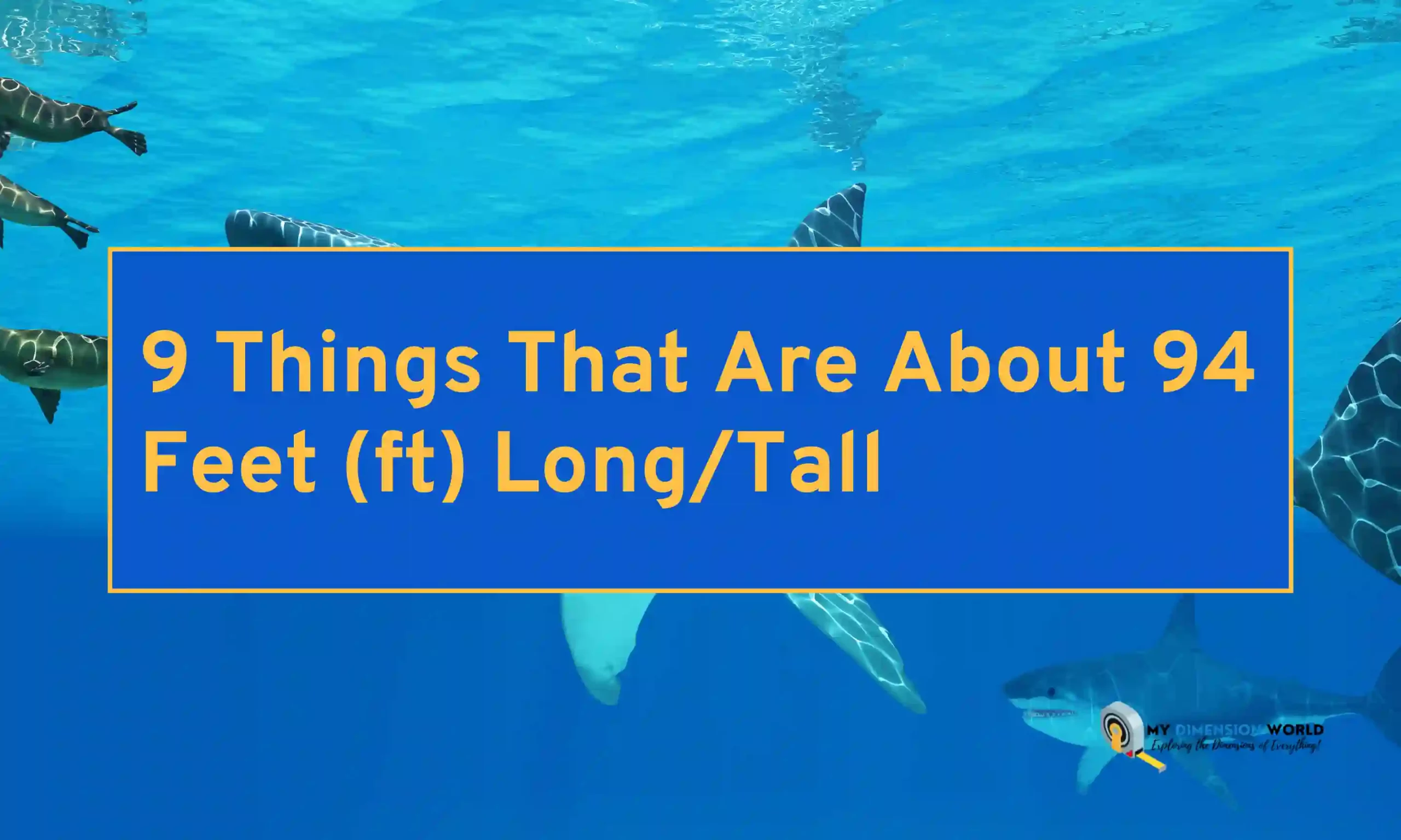 9 Things That Are About 94 Feet (ft) LongTall