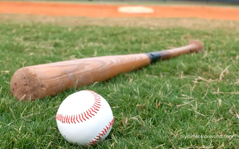 A Baseball Bat