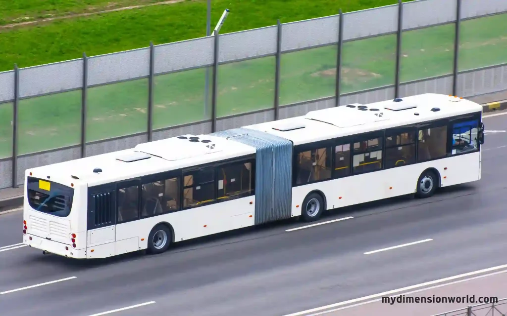 The Length of an Articulated Bus