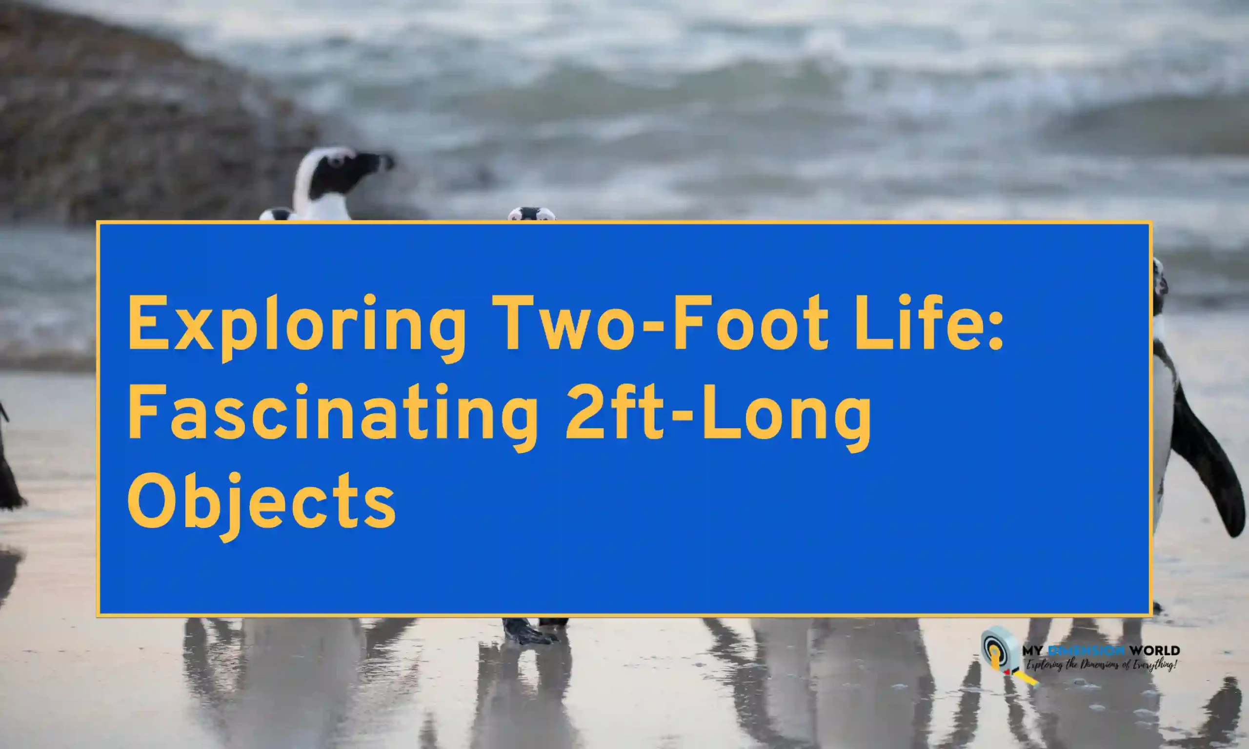 Exploring Two-Foot Life Fascinating 2ft-Long Objects