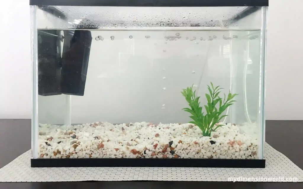 A Small Fish Aquarium