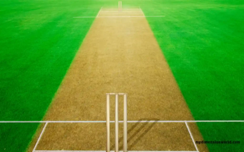 Half of a Cricket Pitch