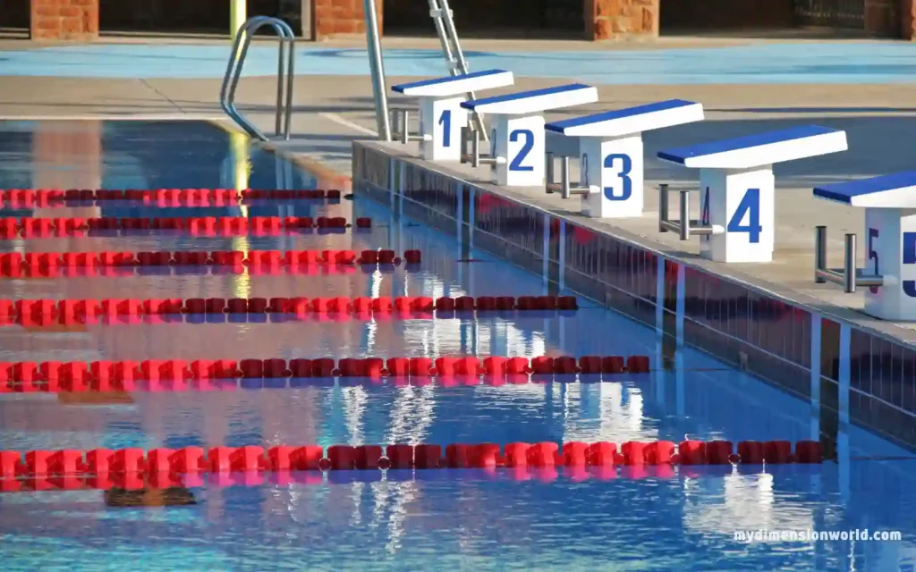 The Length of Olympic-Sized Swimming Pools