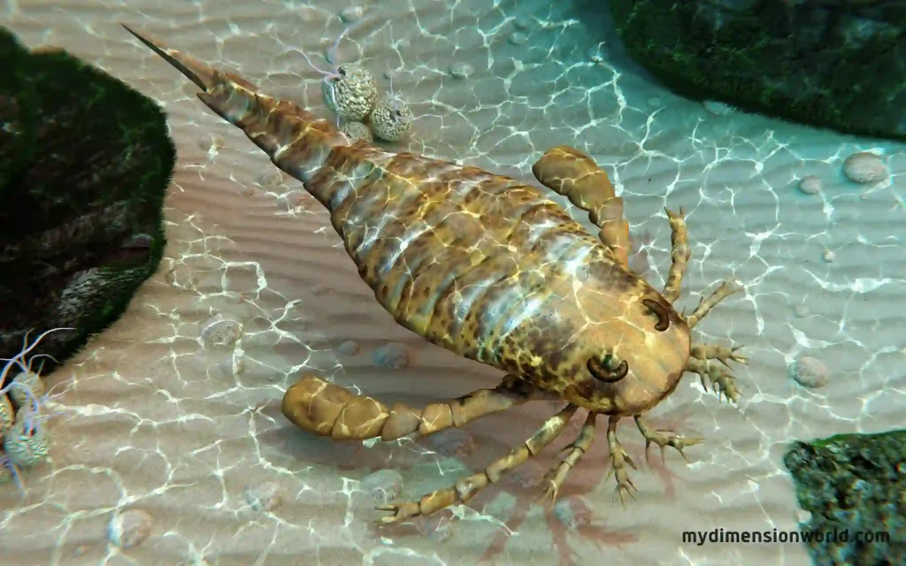Prehistoric Sea Scorpion
