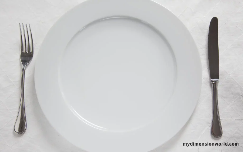 The Familiar 9.5-Inch Diameter of a Standard Dinner Plate
