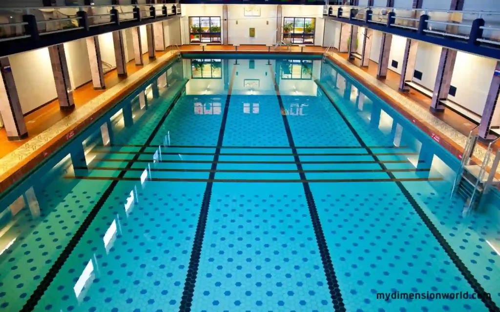 The Length of an Olympic-sized Swimming Pool