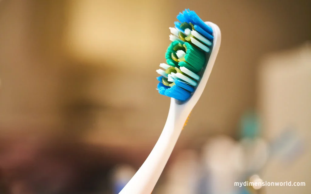 The Wonders of Toothbrush Bristles