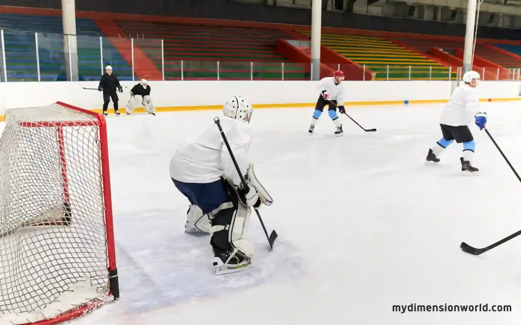 Thirty Ice Hockey Rink Surfaces