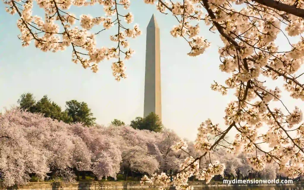 The Washington Monument: A Tribute to America's First President