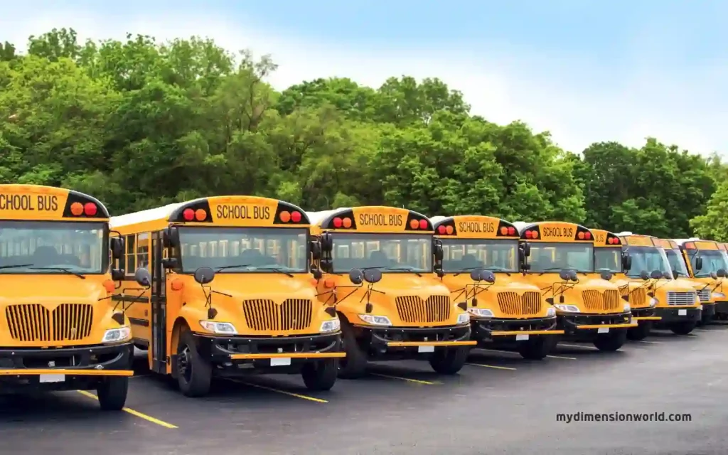 School Buses: A Familiar 54-Foot Sight on the Roads