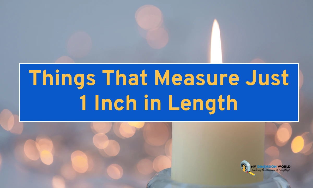 Things That Measure Just 1 Inch in Length
