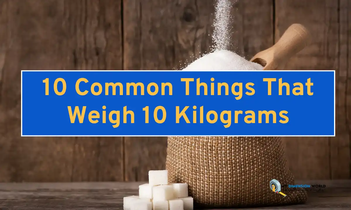 10 Common Things That Weigh 10 Kilograms