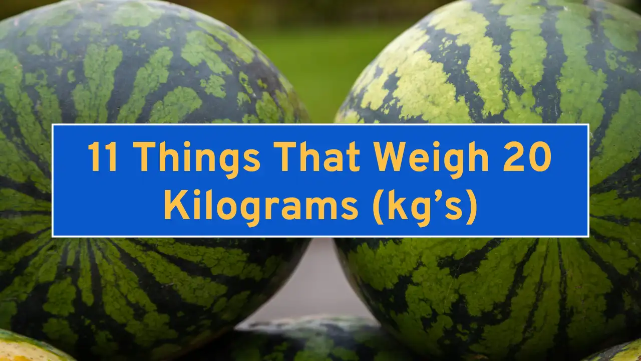 11 Things That Weigh 20 Kilograms (kg’s)