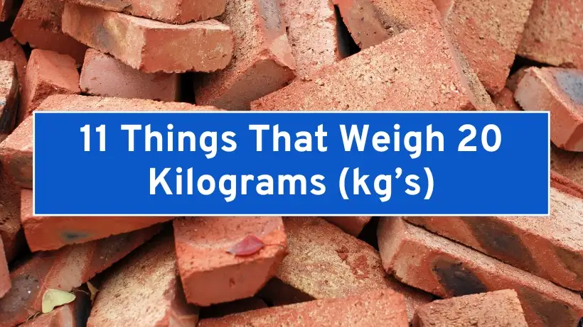 11 Things That Weigh 20 Kilograms (kg’s)